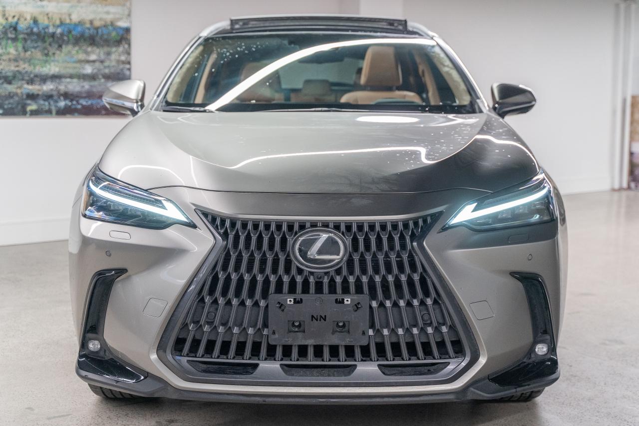 2025 Lexus NX 350h Executive Pkg Fuel Sipper Welcome Trades Photo