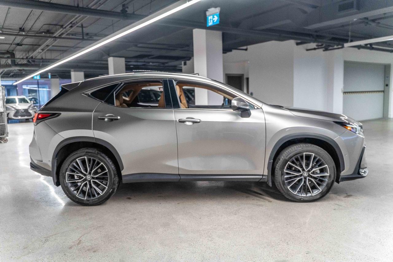 2025 Lexus NX 350h Executive Pkg Fuel Sipper Welcome Trades Photo