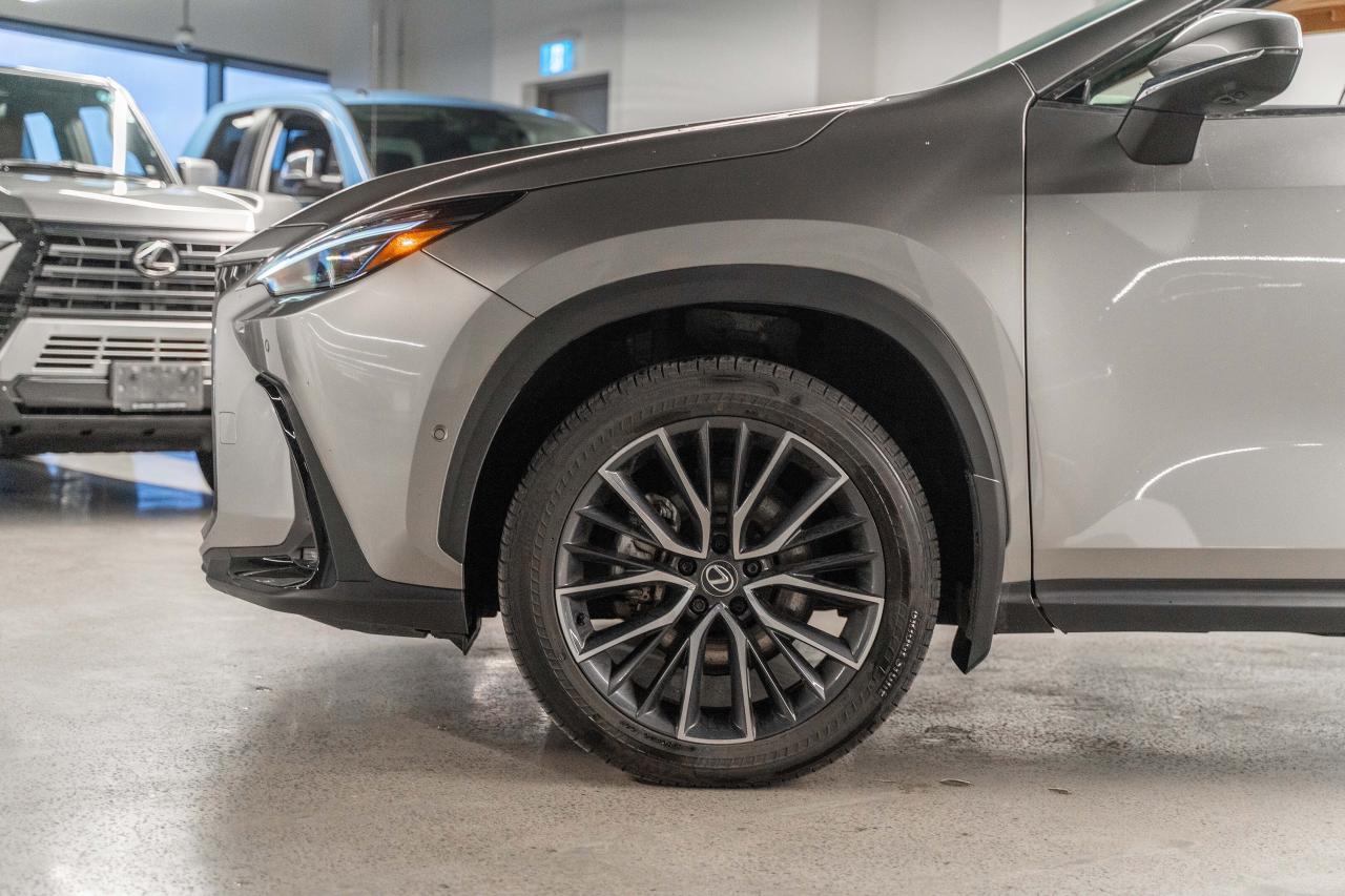 2025 Lexus NX 350h Executive Pkg Fuel Sipper Welcome Trades Photo