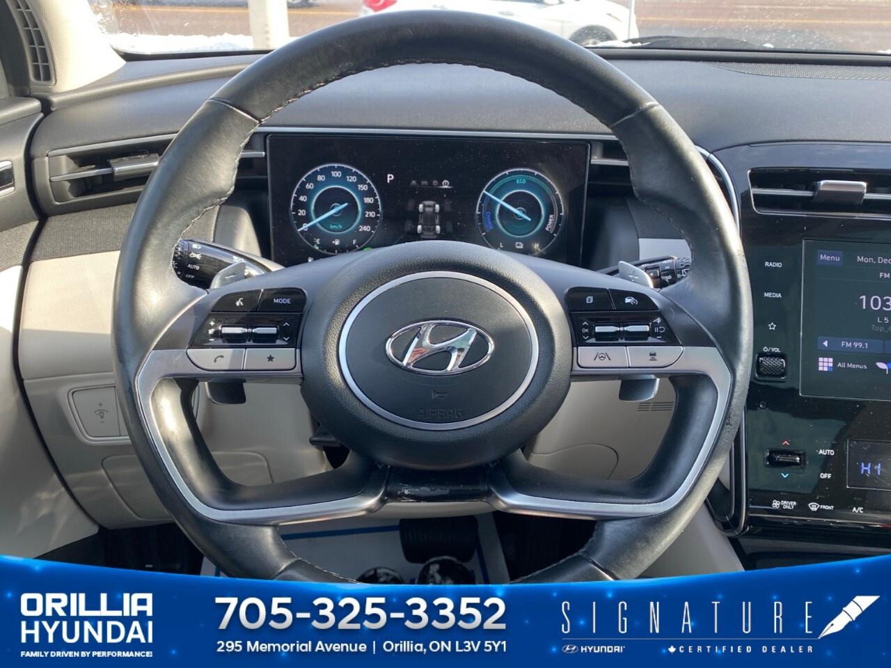 2022 Hyundai Tucson Hybrid Luxury AWD Photo