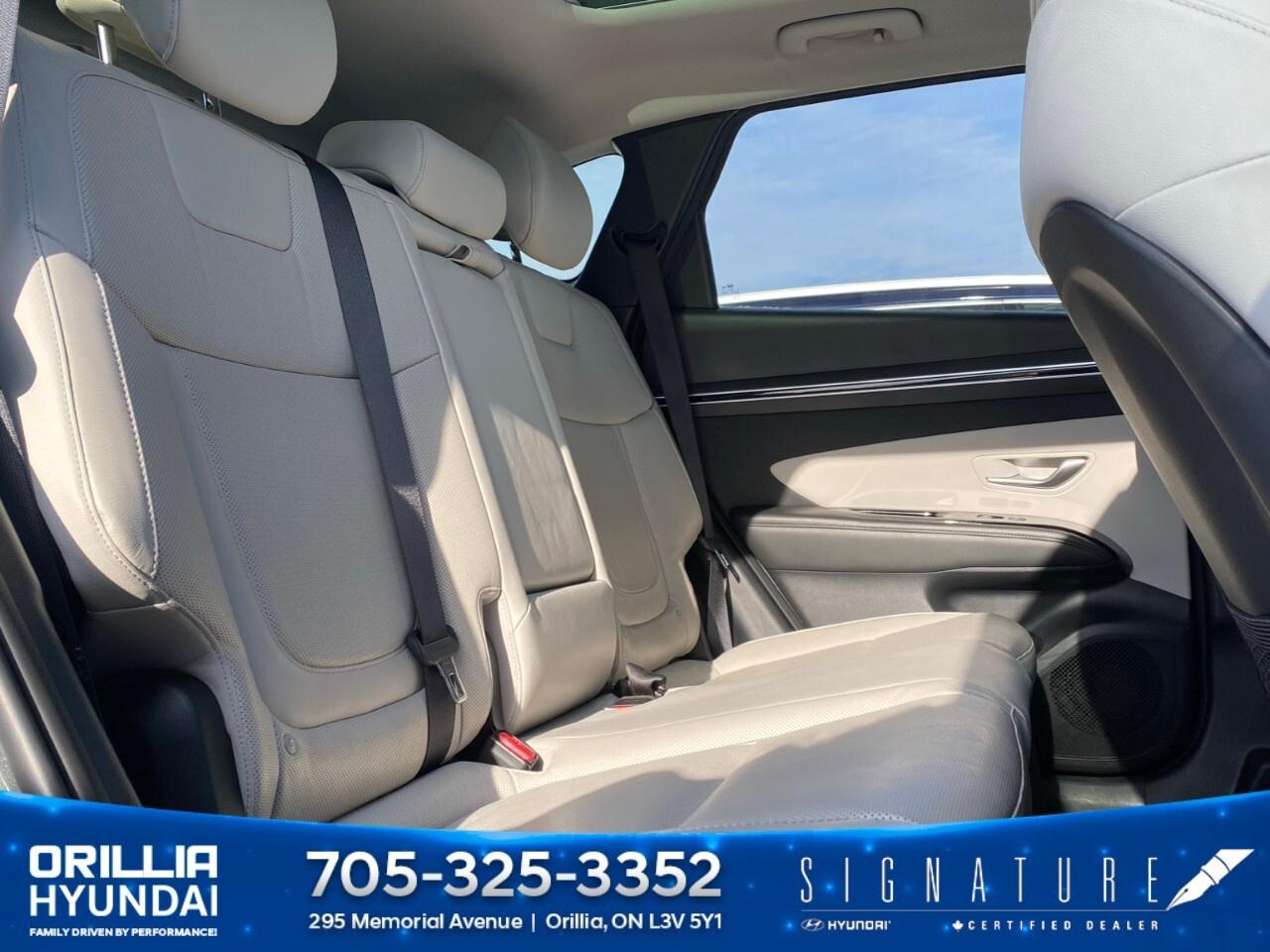 2022 Hyundai Tucson Hybrid Luxury AWD Photo