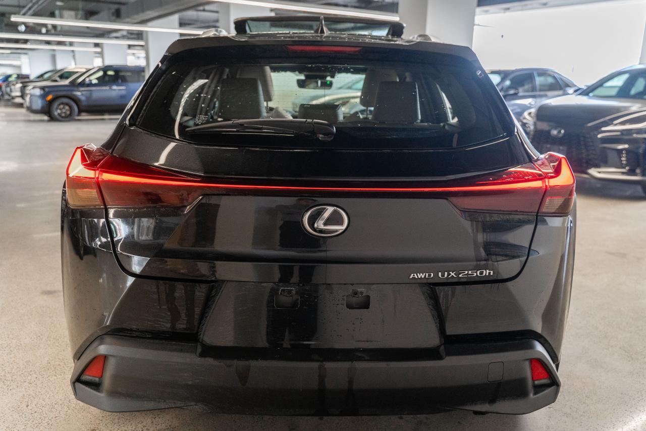 2024 Lexus UX Premium Pkg Safety Certified Welcome Trades Photo