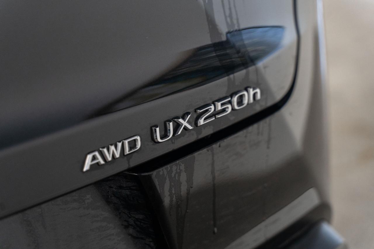 2024 Lexus UX Premium Pkg Safety Certified Welcome Trades Photo