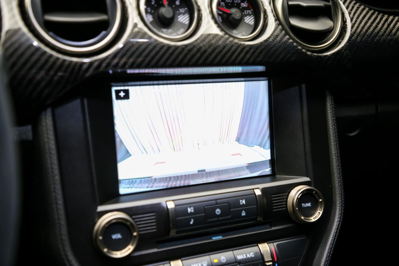 2016 Ford Mustang SHELBY GT350R 5.2L V8 CARBONRIM SERV.REC NOACCIDNT Photo