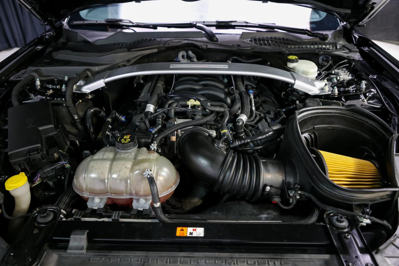 2016 Ford Mustang SHELBY GT350R 5.2L V8 CARBONRIM SERV.REC NOACCIDNT Photo