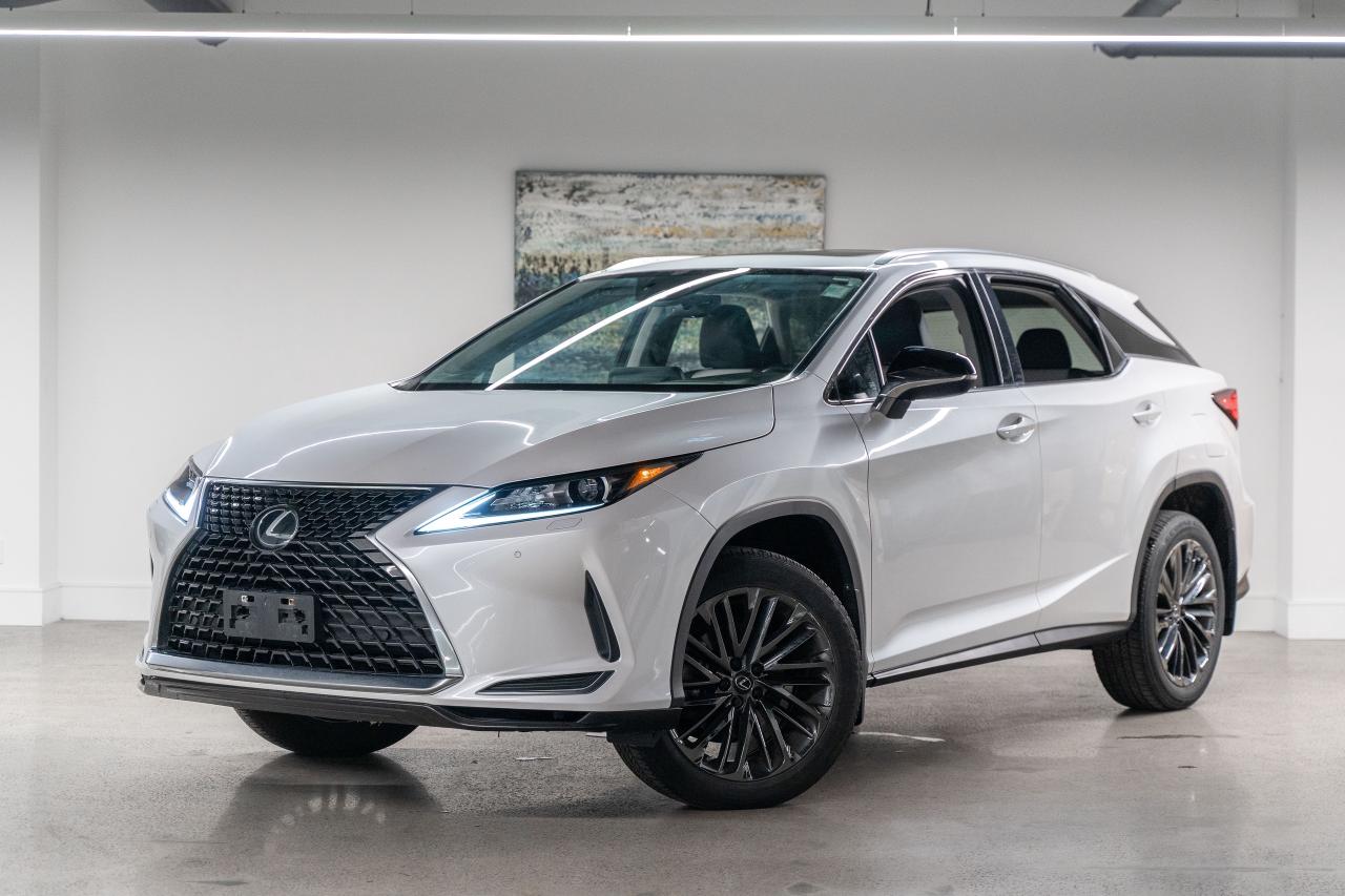 2022 Lexus RX Moonlight Pkg Safety Certified Welcome Trades Photo0
