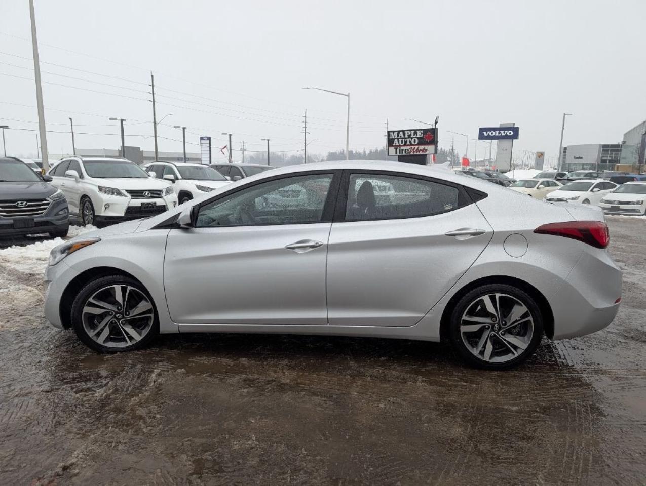 2015 Hyundai Elantra GLS   SUNROOF   CAMERA   HTD SEATS Photo