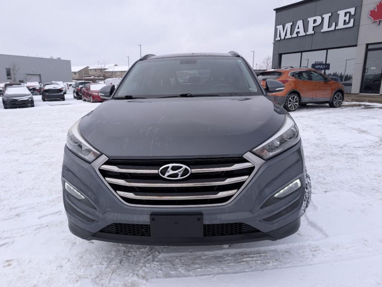 2017 Hyundai Tucson SE AWD  LEATHER   PANOROOF   CAMERA   HTD SEATS Photo2