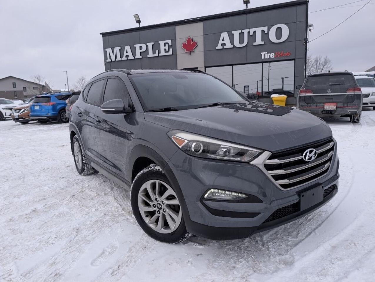 2017 Hyundai Tucson SE AWD  LEATHER   PANOROOF   CAMERA   HTD SEATS Photo