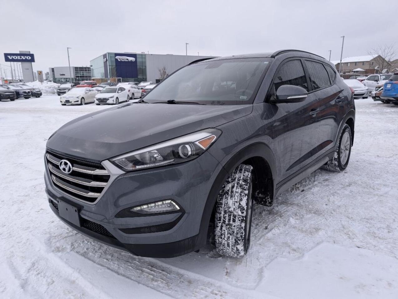 2017 Hyundai Tucson SE AWD  LEATHER   PANOROOF   CAMERA   HTD SEATS Photo