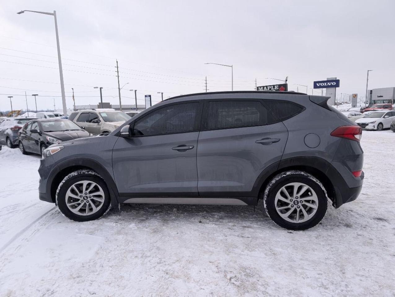 2017 Hyundai Tucson SE AWD  LEATHER   PANOROOF   CAMERA   HTD SEATS Photo