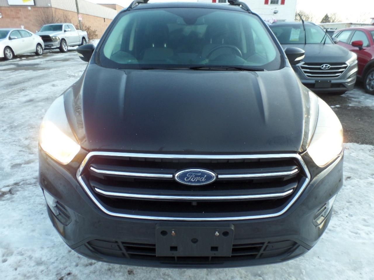 2019 Ford Escape Titanium 4WD Photo