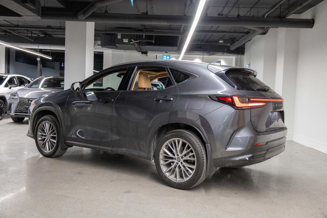 2025 Lexus NX 350h Executive Pkg Safety Certified Welcome Trades Photo3