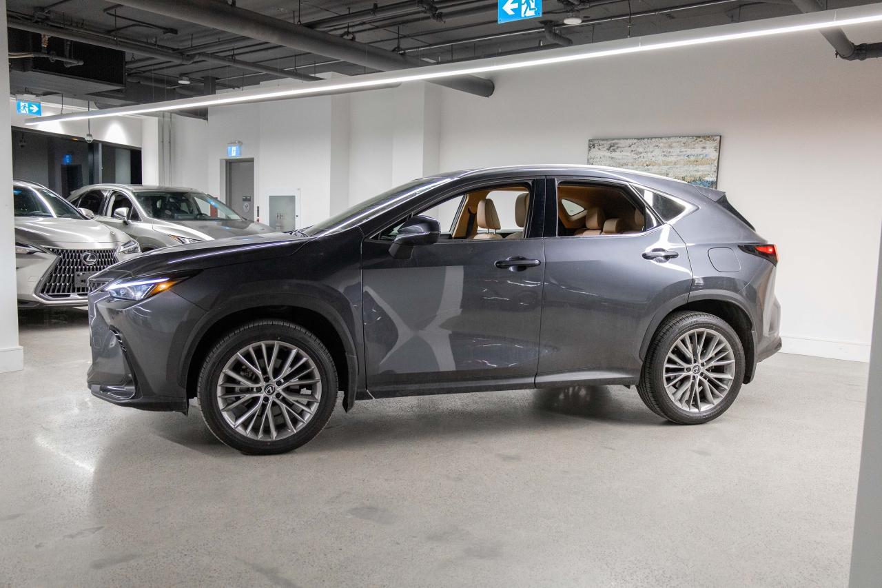 2025 Lexus NX 350h Executive Pkg Safety Certified Welcome Trades Photo