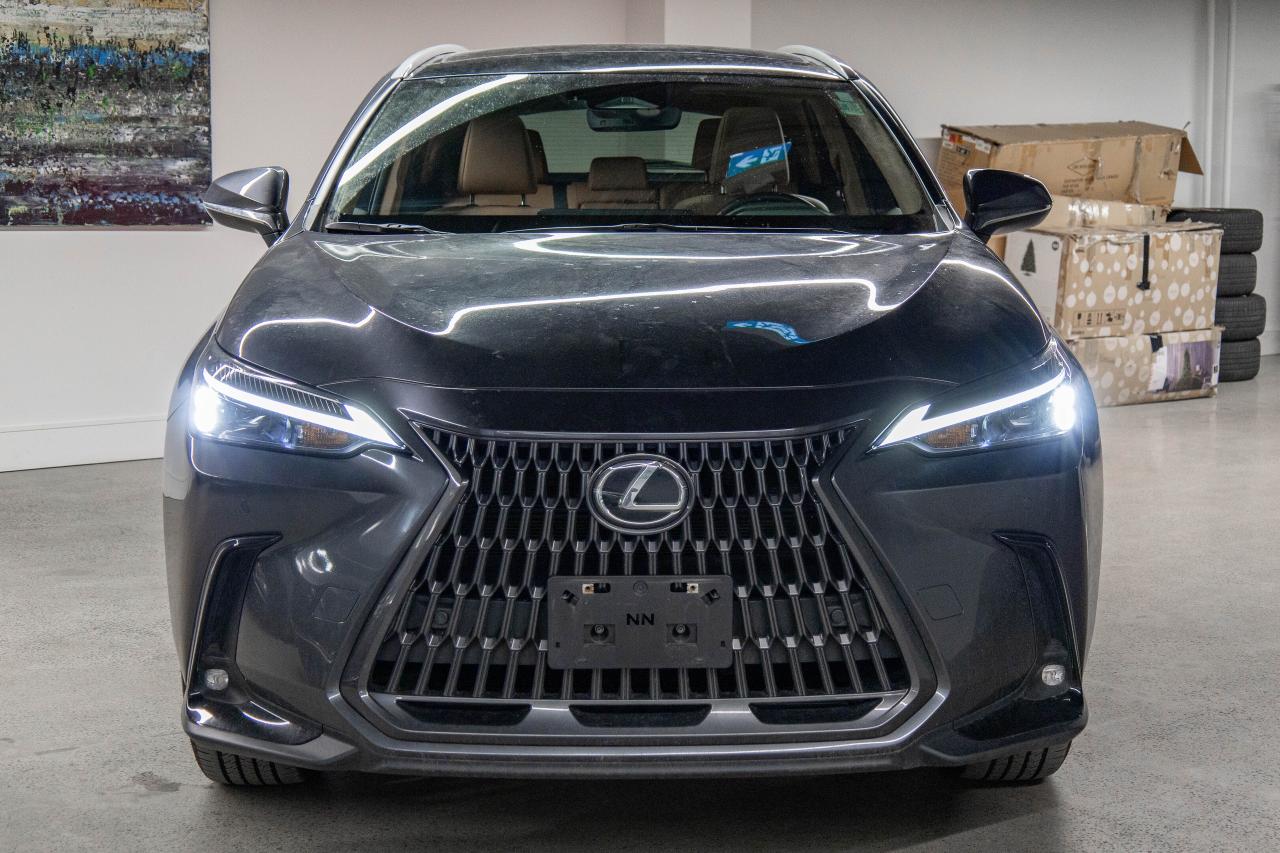 2025 Lexus NX 350h Executive Pkg Safety Certified Welcome Trades Photo