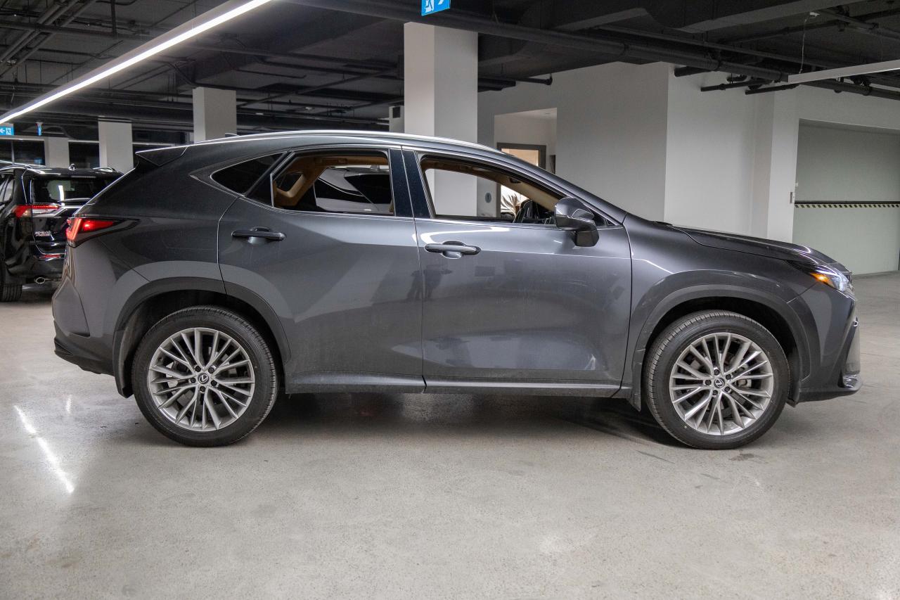 2025 Lexus NX 350h Executive Pkg Safety Certified Welcome Trades Photo