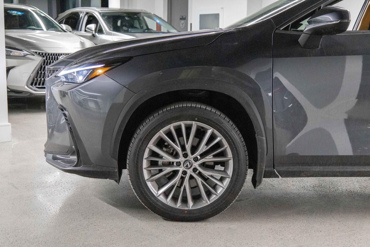 2025 Lexus NX 350h Executive Pkg Safety Certified Welcome Trades Photo