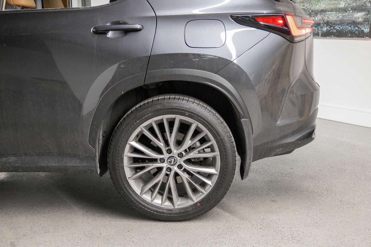 2025 Lexus NX 350h Executive Pkg Safety Certified Welcome Trades Photo