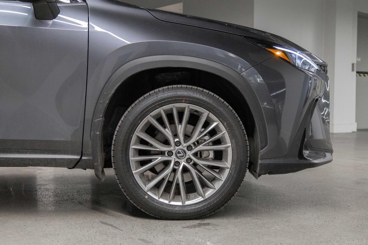 2025 Lexus NX 350h Executive Pkg Safety Certified Welcome Trades Photo