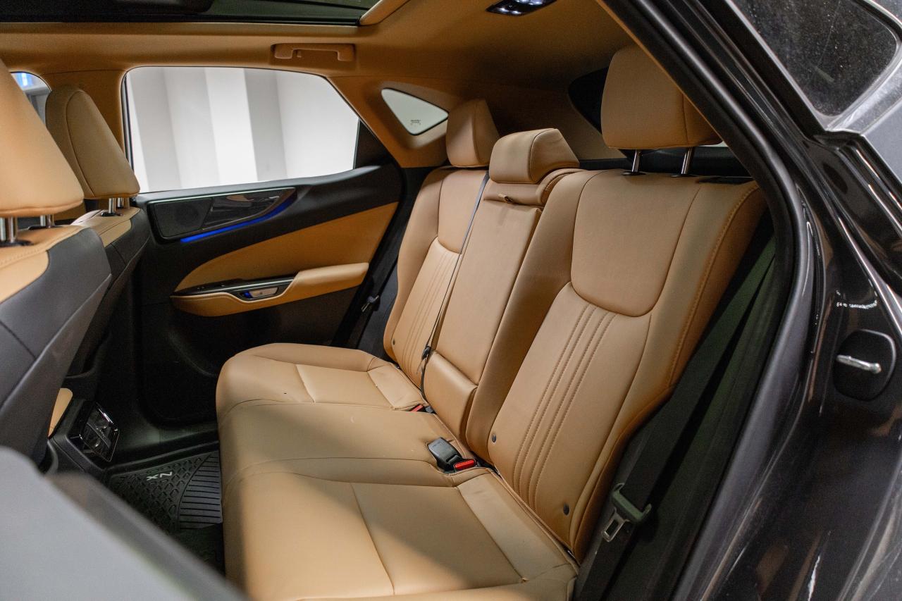 2025 Lexus NX 350h Executive Pkg Safety Certified Welcome Trades Photo