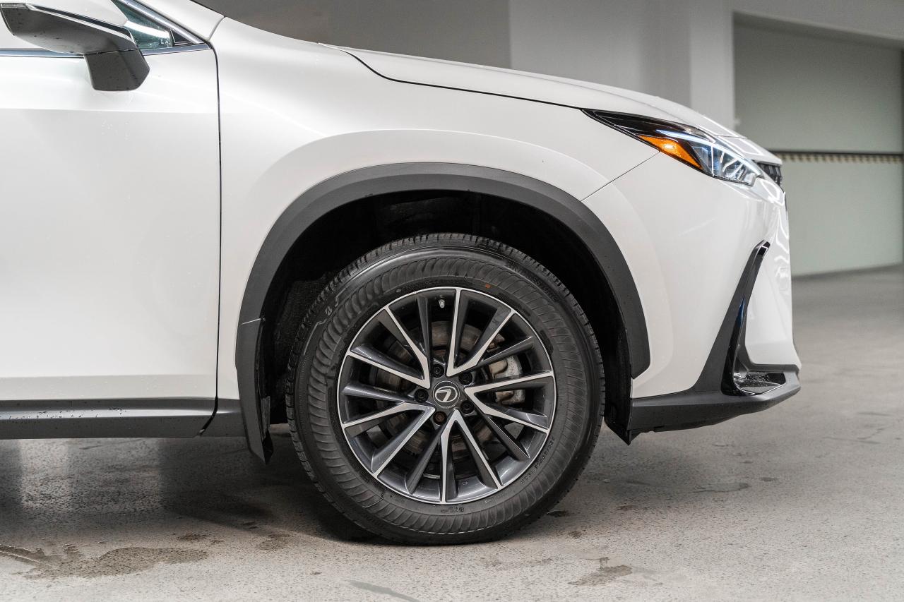 2023 Lexus NX Premium Pkg Safety Certified Welcome Trades Photo