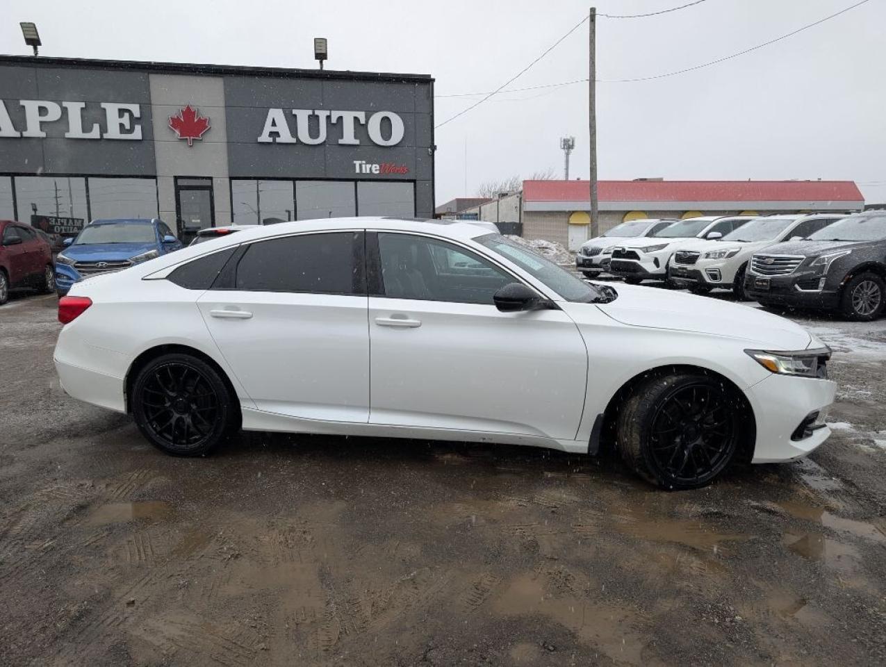 2022 Honda Accord Sedan Sport   SUNROOF   HONDA SENSING   CAMERA   HTD SEA Photo4