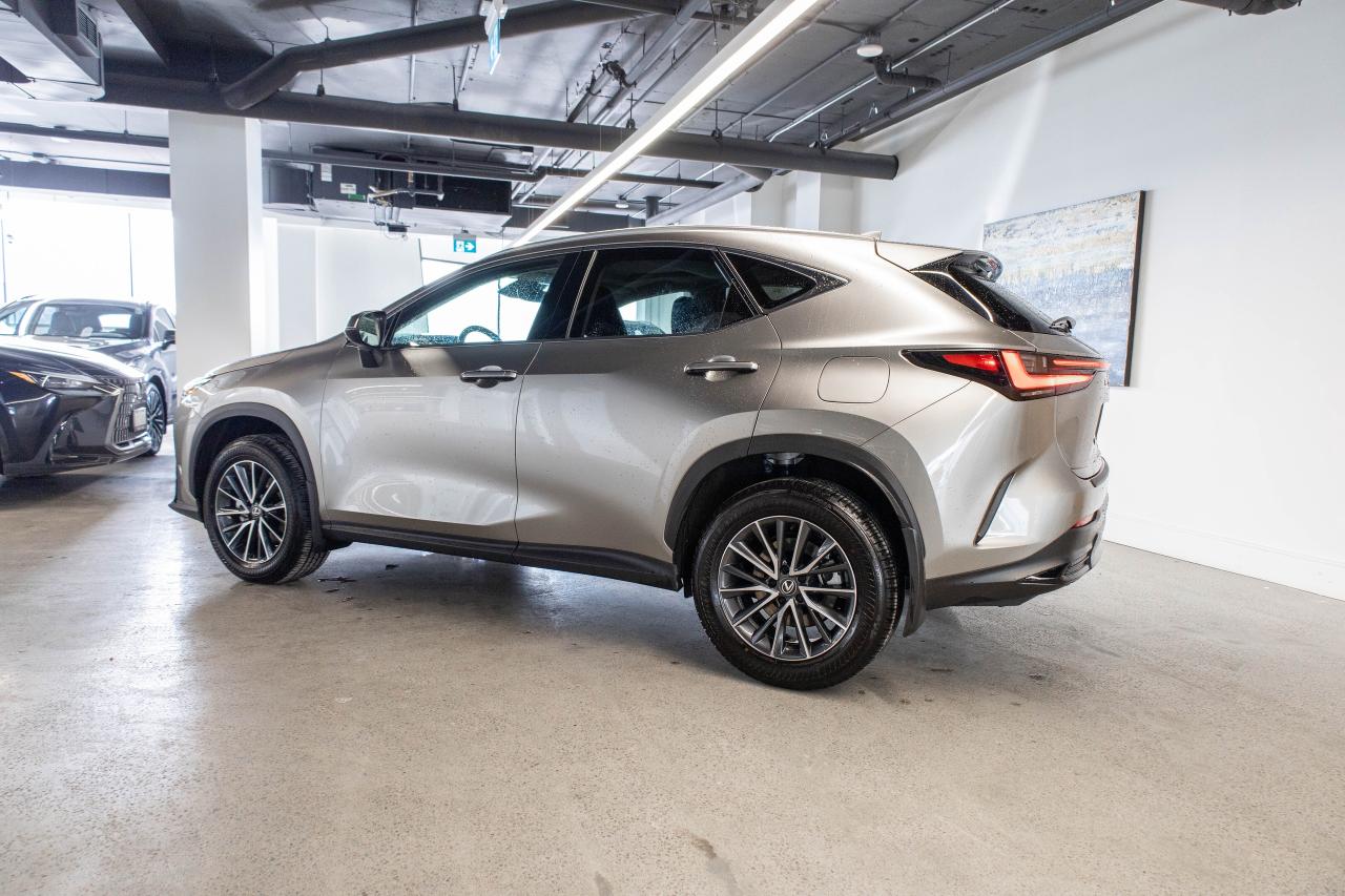 2025 Lexus NX Premium Pkg Fuel Sipper Safety Certified Photo3