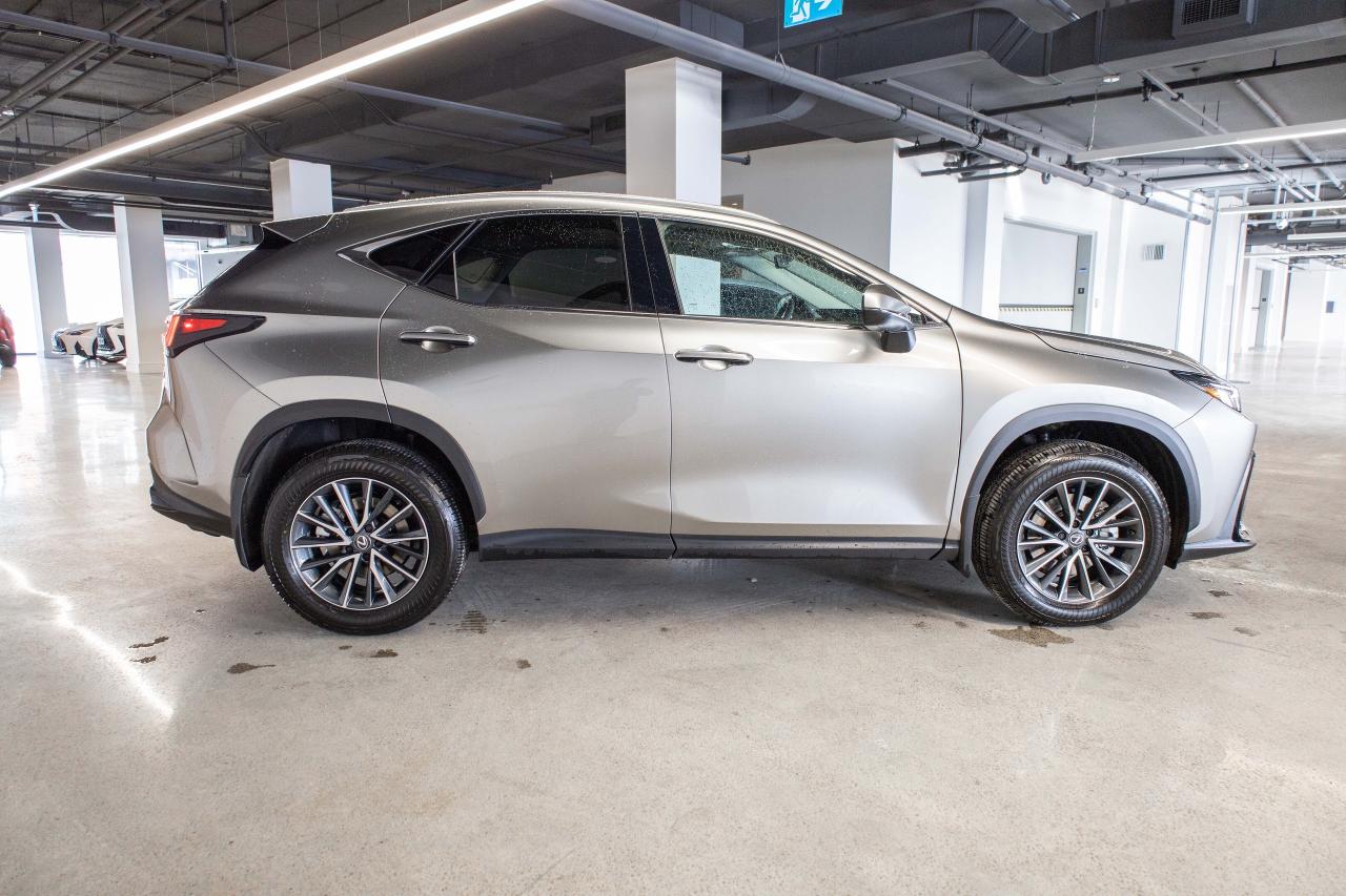 2025 Lexus NX Premium Pkg Fuel Sipper Safety Certified Photo