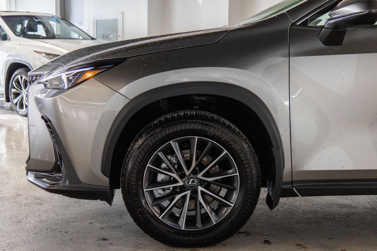 2025 Lexus NX Premium Pkg Fuel Sipper Safety Certified Photo