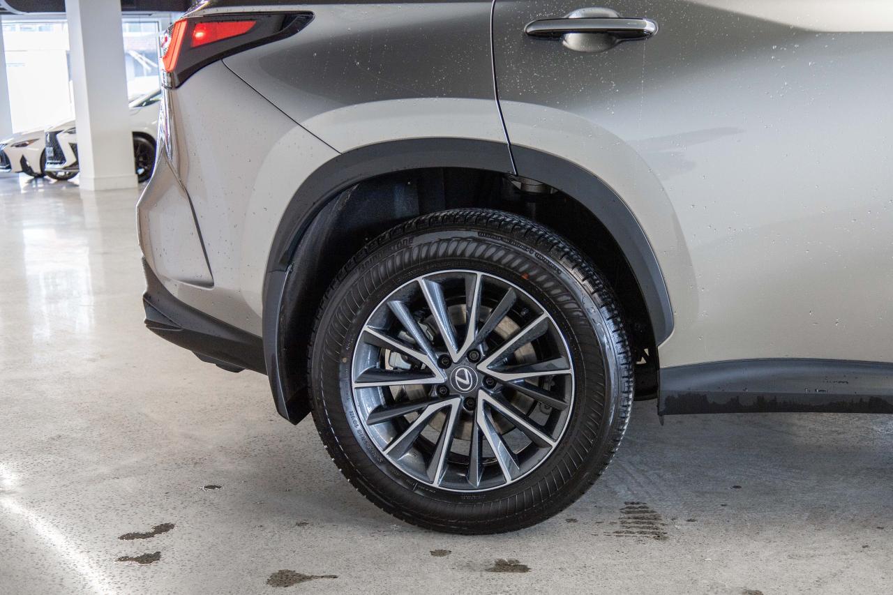 2025 Lexus NX Premium Pkg Fuel Sipper Safety Certified Photo