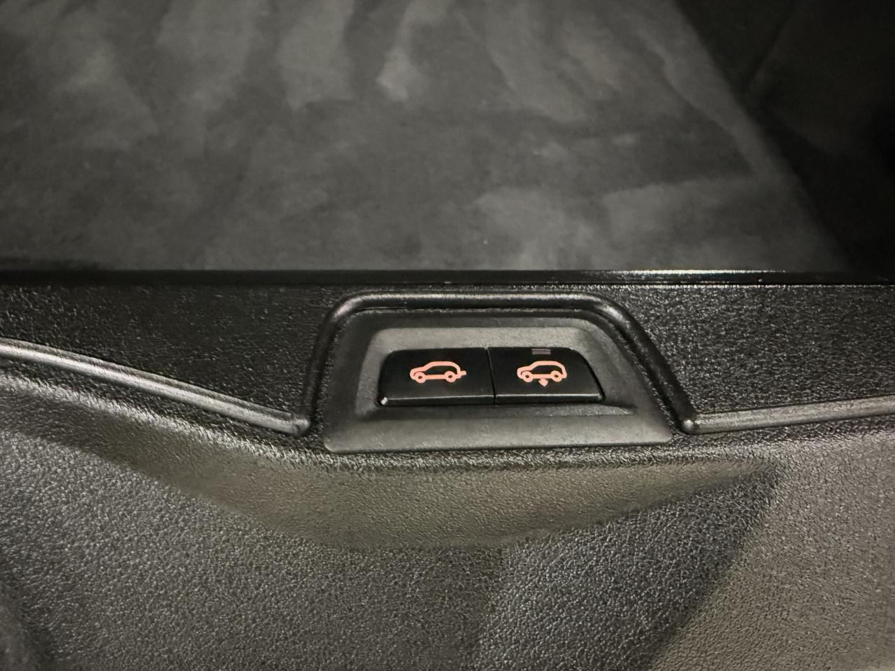 2020 BMW X5 xDrive40i Sports Activity Vehicle Photo