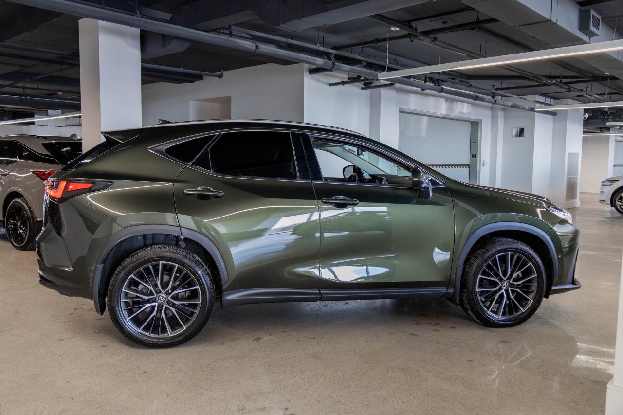 2024 Lexus NX 350h Executive Pkg Safety Certified Welcome Trades Photo4