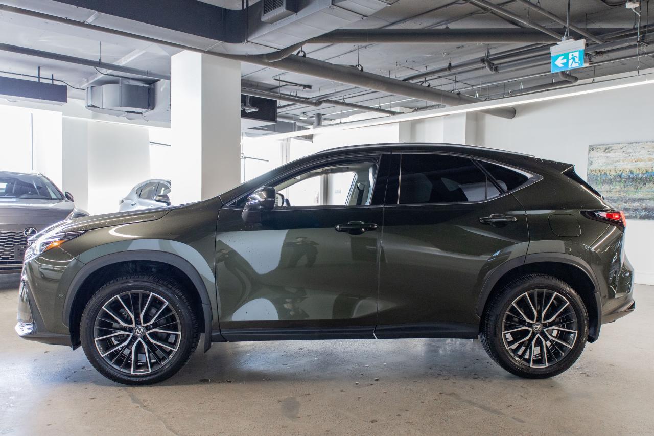 2024 Lexus NX 350h Executive Pkg Safety Certified Welcome Trades Photo