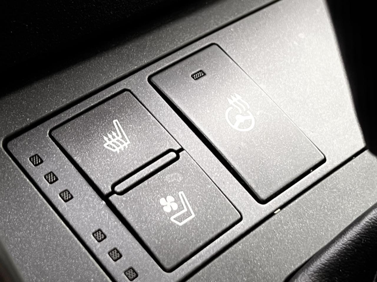 2024 Lexus IS No Accident l IS 300 AWD l  Grecian Water Blue l Photo