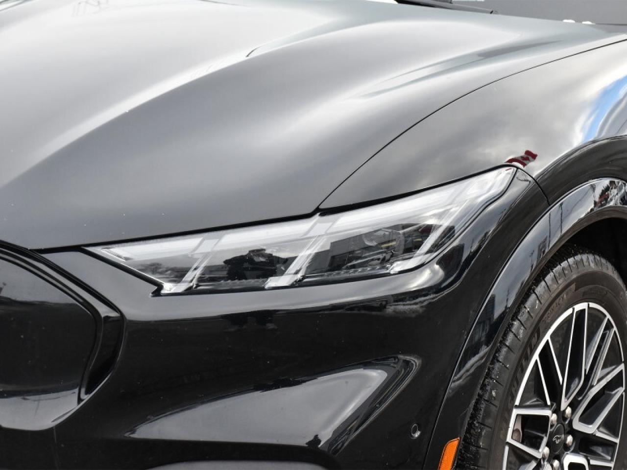 2024 Ford Mustang Mach-E Premium   Ext Battery   Leather   Glass Roof   Car Photo