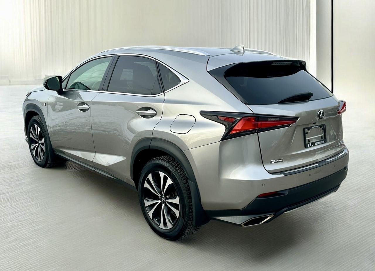 2019 Lexus NX NX 300 ~ F-SPORT ~ NO ACCIDENTS ~ CERTIFIED Photo
