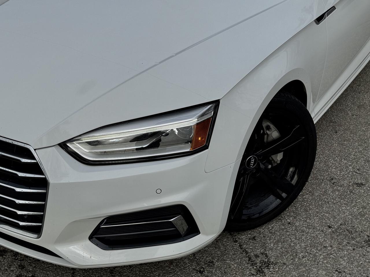 2019 Audi A5 Coupe NO ACCIDENT I PROGRESSIVE I 45TFSI I QUATTRO I BSM Photo