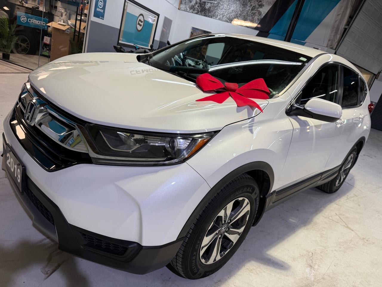 2019 Honda CR-V LX   NO ACCIDENTS   CAMERA Photo