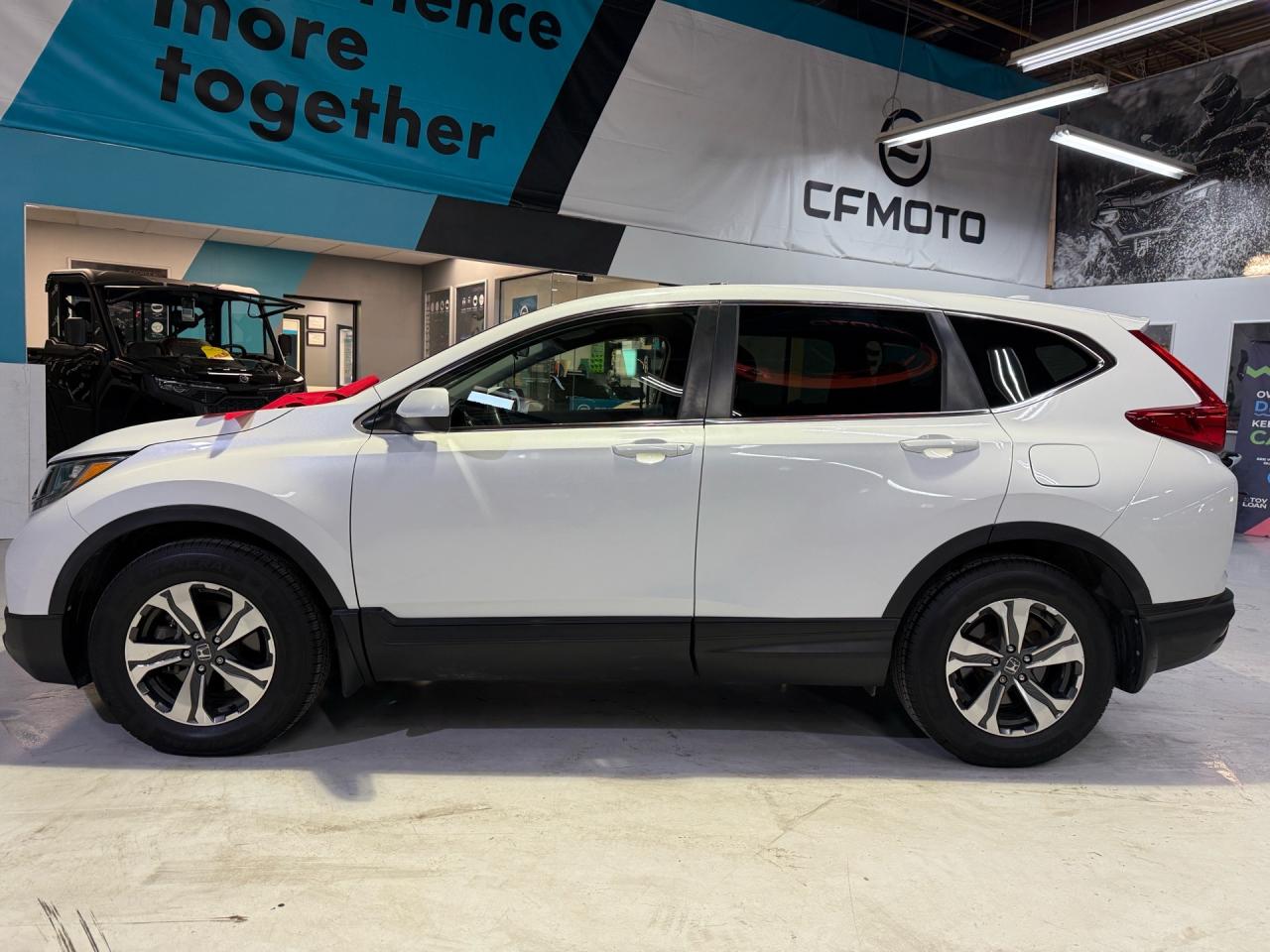 2019 Honda CR-V LX   NO ACCIDENTS   CAMERA Photo2