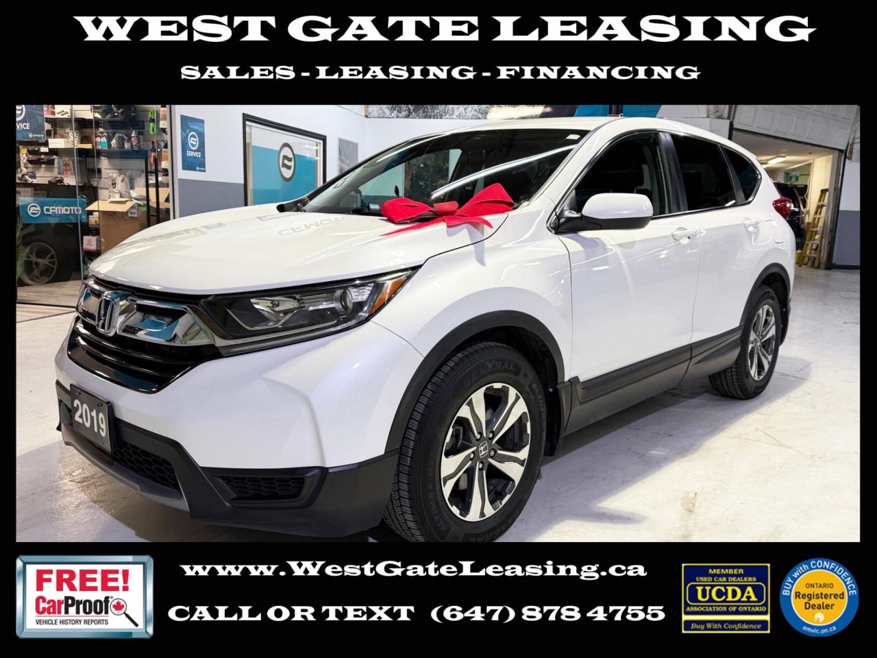 2019 Honda CR-V LX   NO ACCIDENTS   CAMERA Photo0