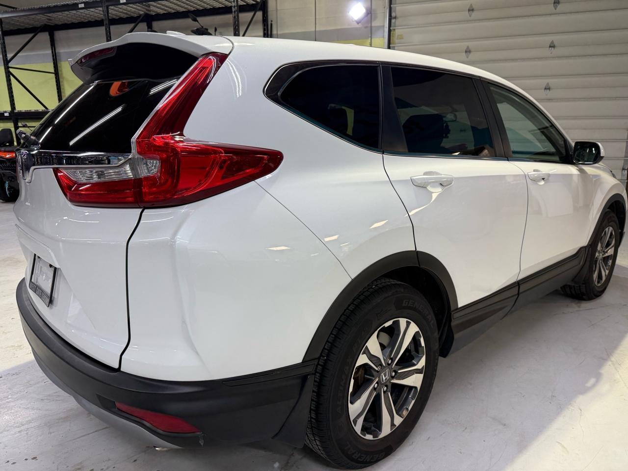 2019 Honda CR-V LX   NO ACCIDENTS   CAMERA Photo