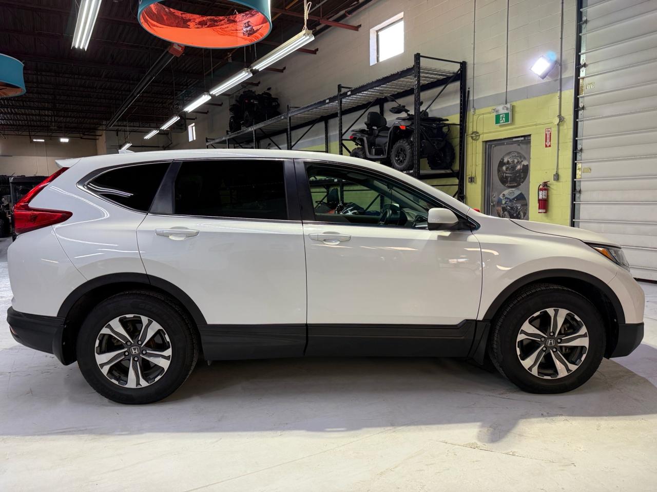 2019 Honda CR-V LX   NO ACCIDENTS   CAMERA Photo