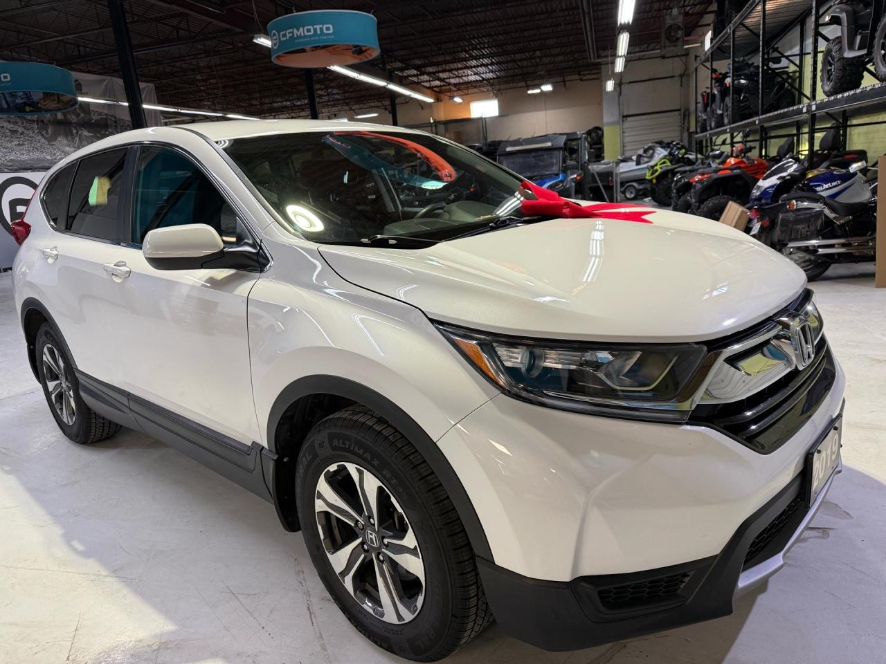 2019 Honda CR-V LX   NO ACCIDENTS   CAMERA Photo