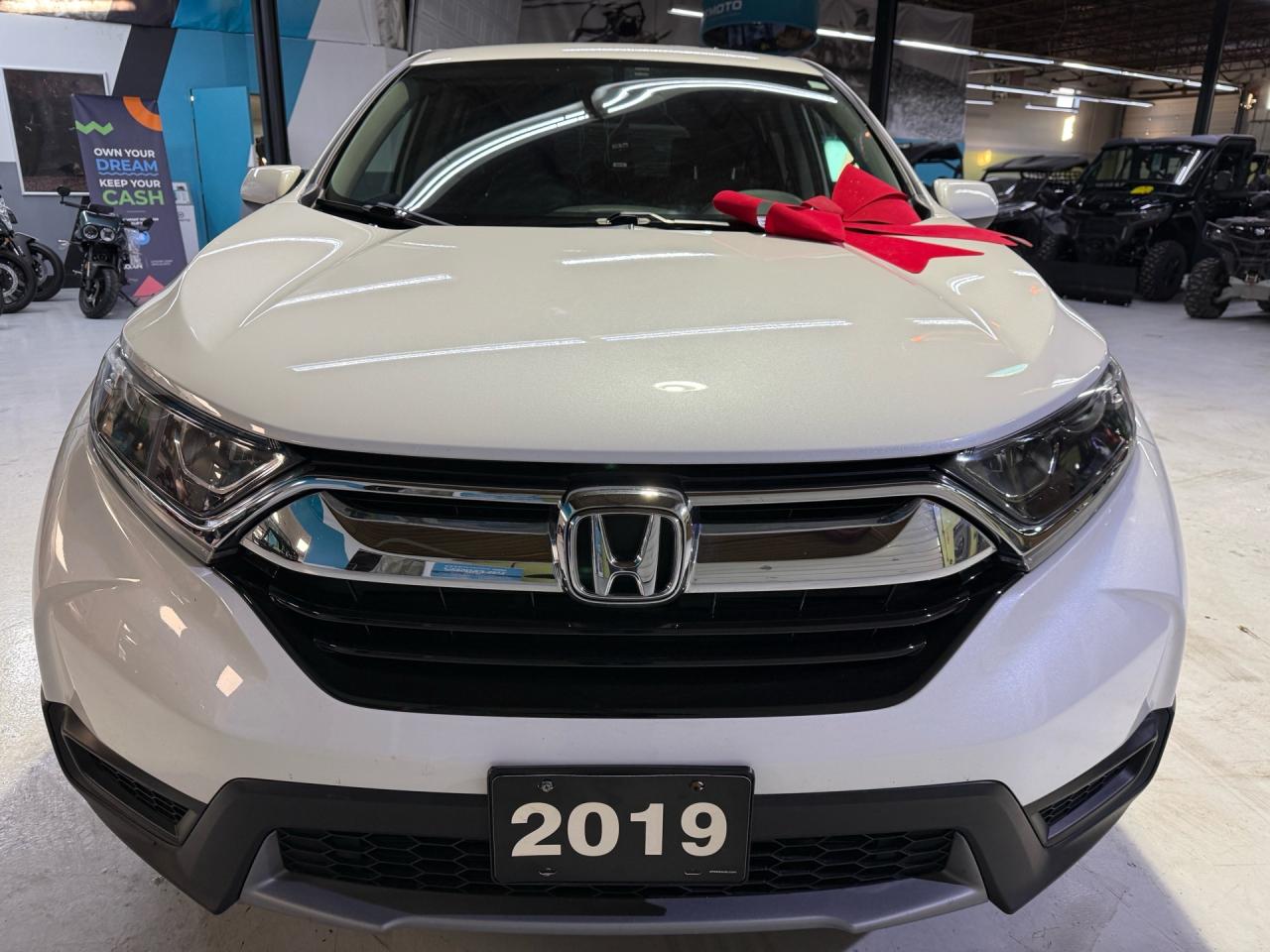 2019 Honda CR-V LX   NO ACCIDENTS   CAMERA Photo