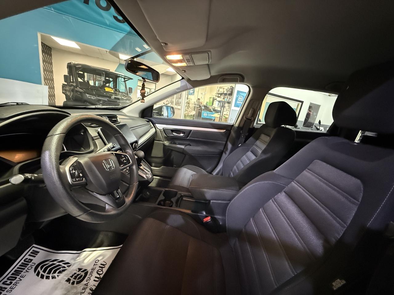 2019 Honda CR-V LX   NO ACCIDENTS   CAMERA Photo