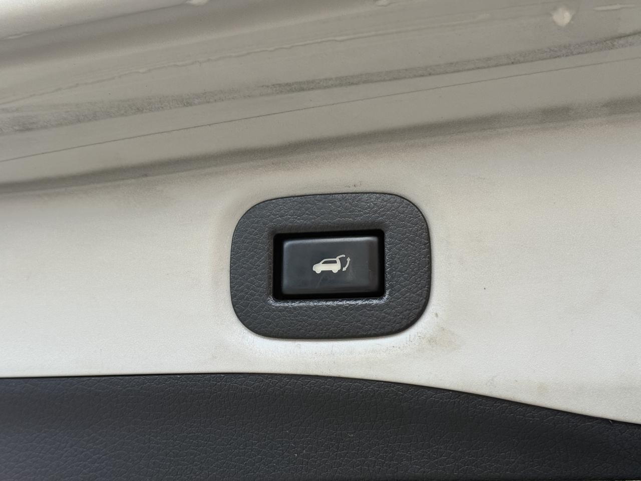 2020 Nissan Rogue SV I AWD I 360 CAM I PANORAMIC ROOF I Photo