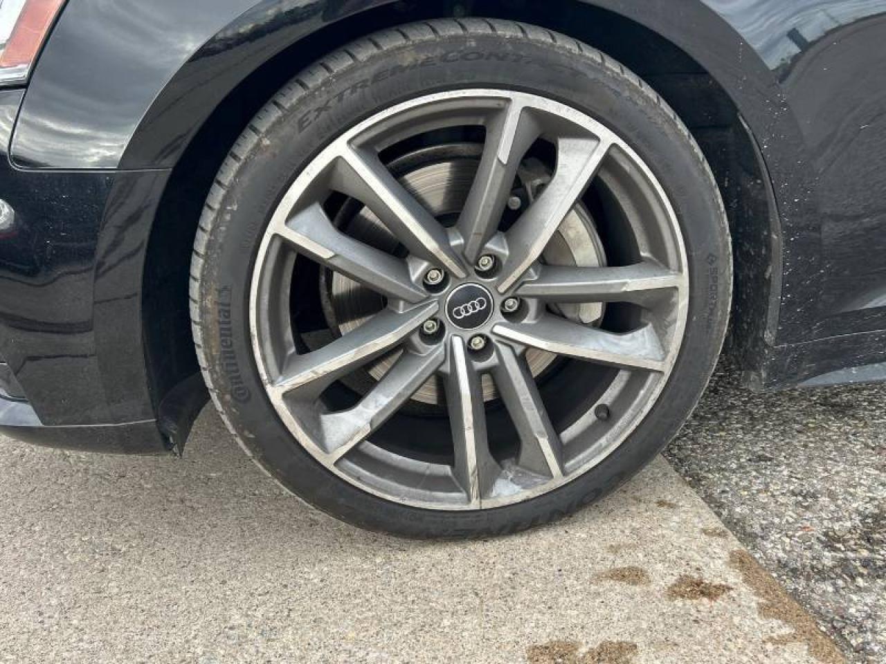 2019 Audi A5 Sportback NO ACCIDENT I Progressiv I 45 TFSI I QUATTRO Photo