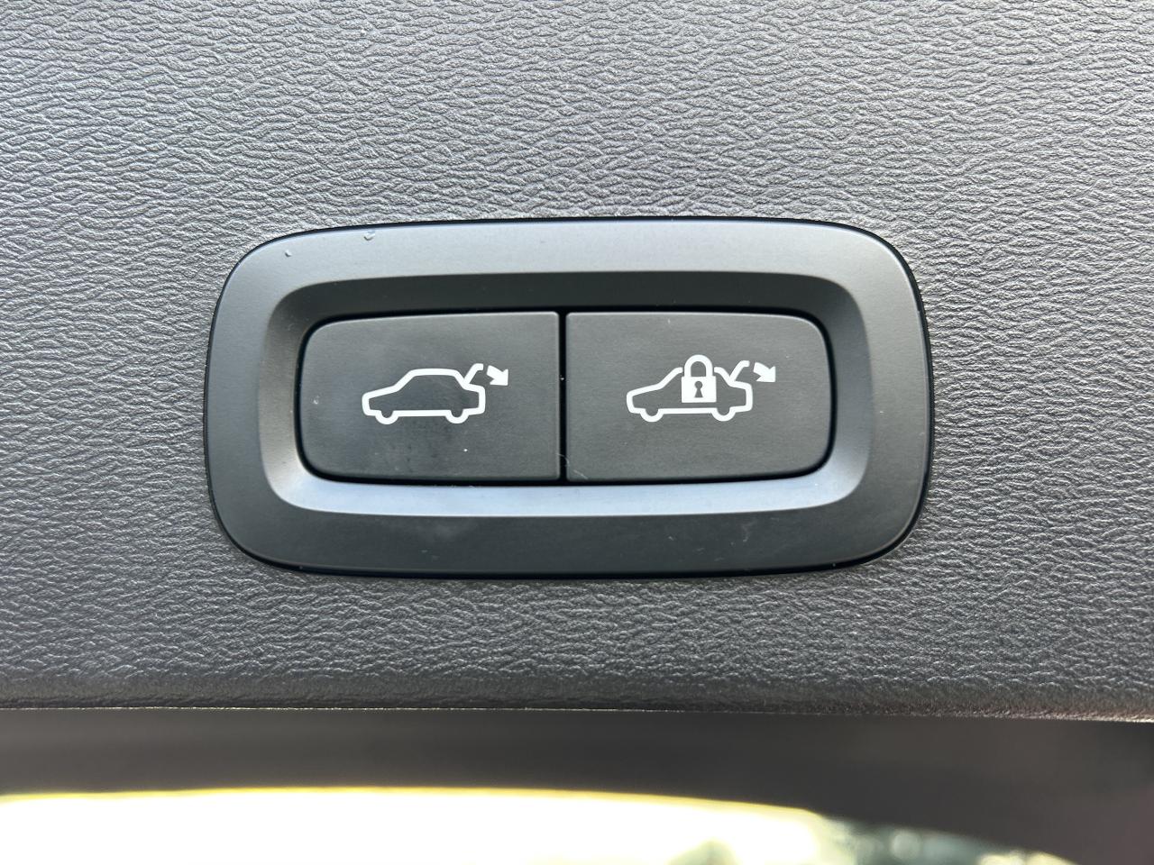 2024 Volvo XC40 B5 AWD PLUS-BRIGHT THEME,PANOROOF,CARPLAY,NAVI Photo