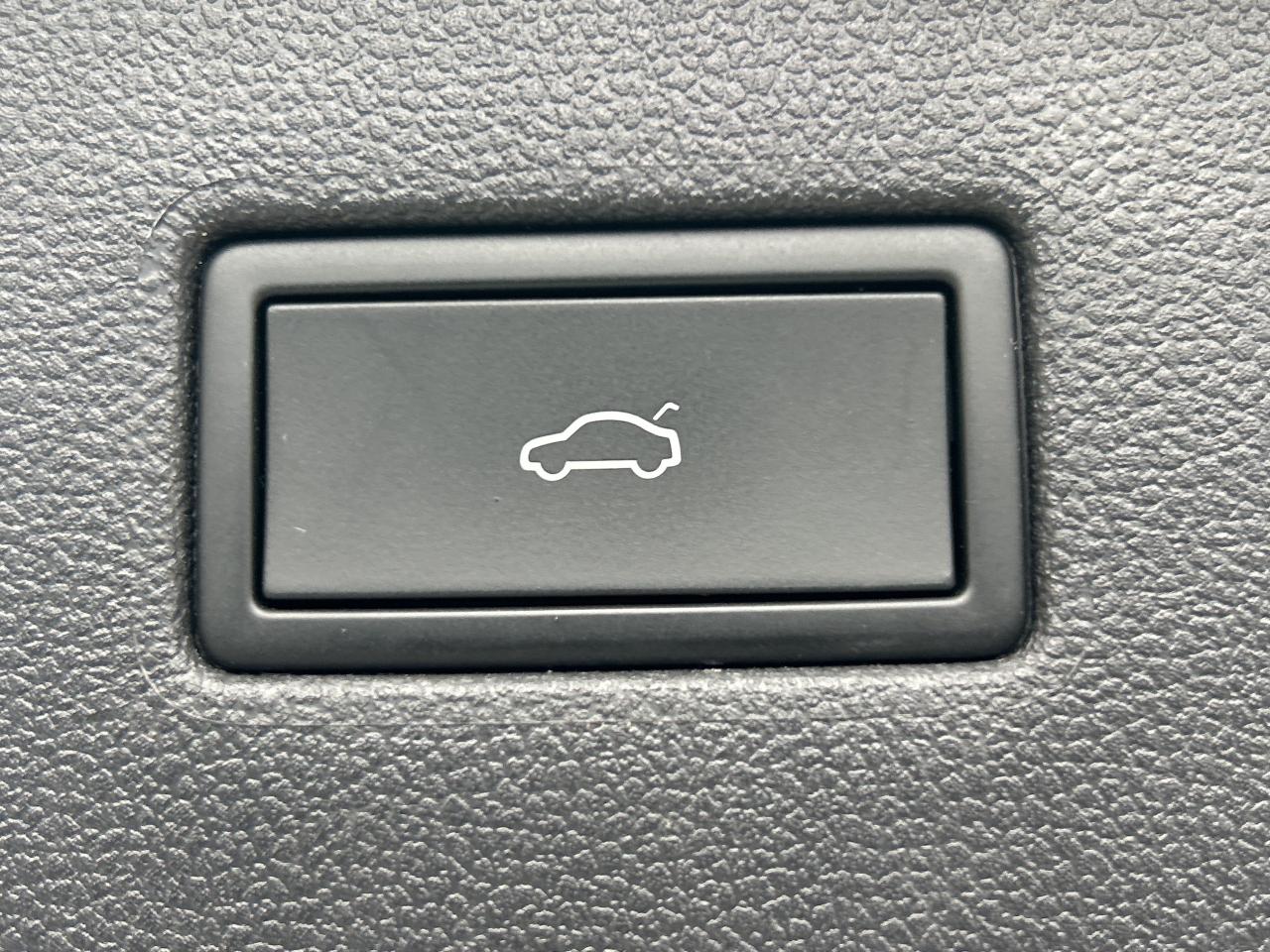 2024 Volkswagen Tiguan NEW TIRES & BRAKES, PANOROOF,CARPLAY, REMOTE START Photo