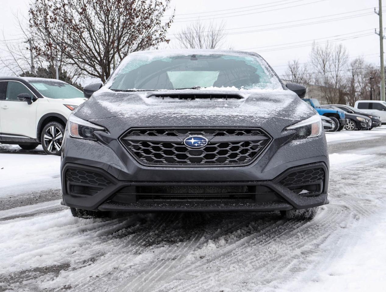 2023 Subaru WRX Base Photo